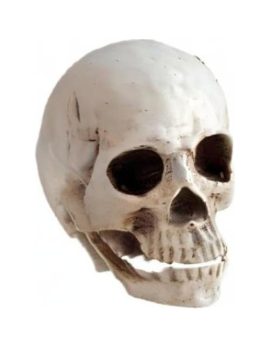Réplica de cráneo humano KABAKE 1:1 de resina para educación