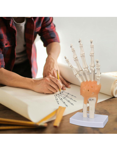 Modelo de Mano Humana Ultrassist 1:1 con Ligamentos Flexibles