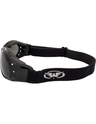 Gafas de Motocicleta Global Vision Eliminator Anti-Rayas Humo