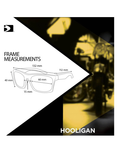 Gafas de Motocicleta Bobster Hooligan con Lentes Fotoquímicos