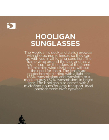 Gafas de Motocicleta Bobster Hooligan con Lentes Fotoquímicos