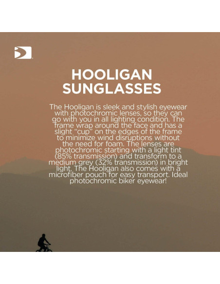 Gafas de Motocicleta Bobster Hooligan con Lentes Fotoquímicos