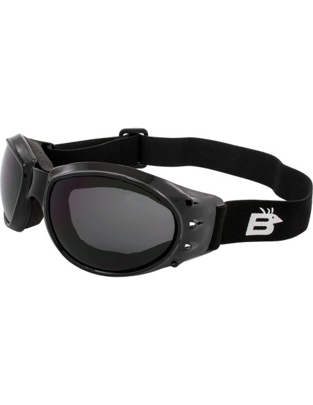 Gafas de Motocicleta Birdz Eyewear Eagle con Lentes Irrompibles