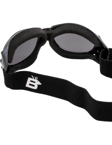 Gafas de Motocicleta Birdz Eyewear Eagle con Lentes Irrompibles