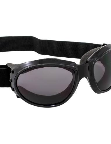 Gafas de Motocicleta Birdz Eyewear Eagle con Lentes Irrompibles