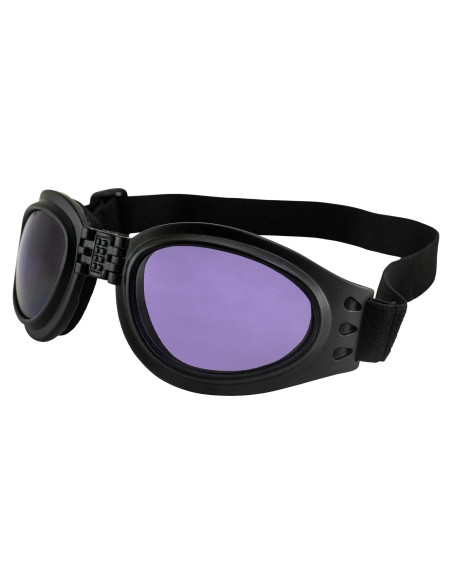 Gafas de Motocicleta Birdz Eyewear Parrot Lente Púrpura