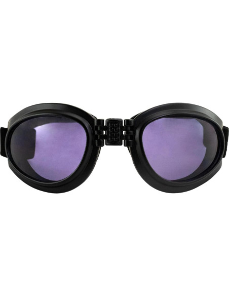Gafas de Motocicleta Birdz Eyewear Parrot Lente Púrpura