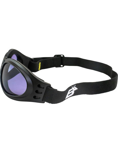 Gafas de Motocicleta Birdz Eyewear Parrot Lente Púrpura