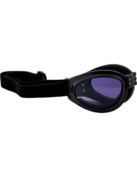 Gafas de Motocicleta Birdz Eyewear Parrot Lente Púrpura