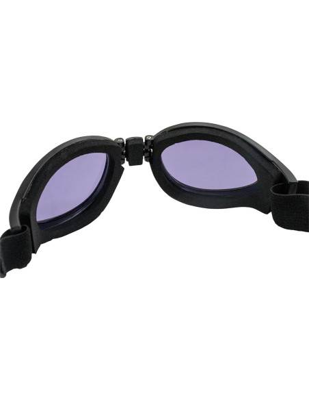 Gafas de Motocicleta Birdz Eyewear Parrot Lente Púrpura