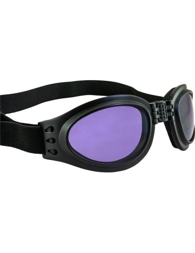 Gafas de Motocicleta Birdz Eyewear Parrot Lente Púrpura