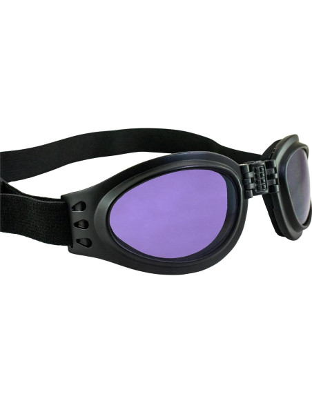 Gafas de Motocicleta Birdz Eyewear Parrot Lente Púrpura