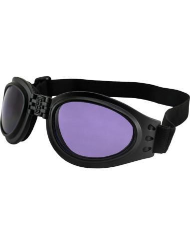 Gafas de Motocicleta Birdz Eyewear Parrot Lente Púrpura