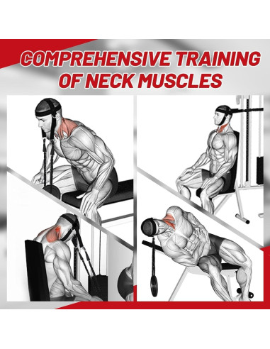 Arnés para Cuello WKWE Ajustable con Cadena de Acero 99 cm