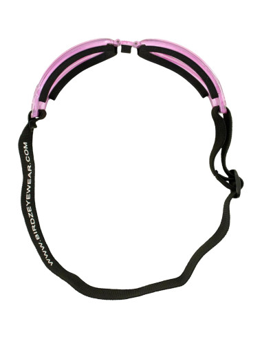 Gafas de Motocicleta Padded Cardinal Birdz Eyewear Rosa