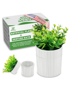 Estuche para Dentaduras YCROJBK con Diseño de Eucalipto 9.4x16.5cm