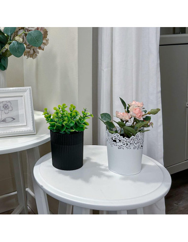 Estuche para Dentaduras YCROJBK con Diseño de Eucalipto 9.4x16.5cm