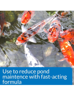 API POND SIMPLY CLEAR Clarificador de Agua de Estanque 480ml 2