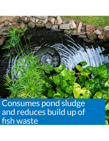 API POND SIMPLY CLEAR Clarificador de Agua de Estanque 480ml