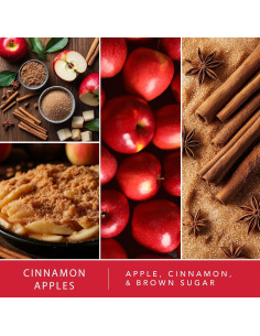Cera Aromática Scentsationals 10oz Manzanas con Canela 2