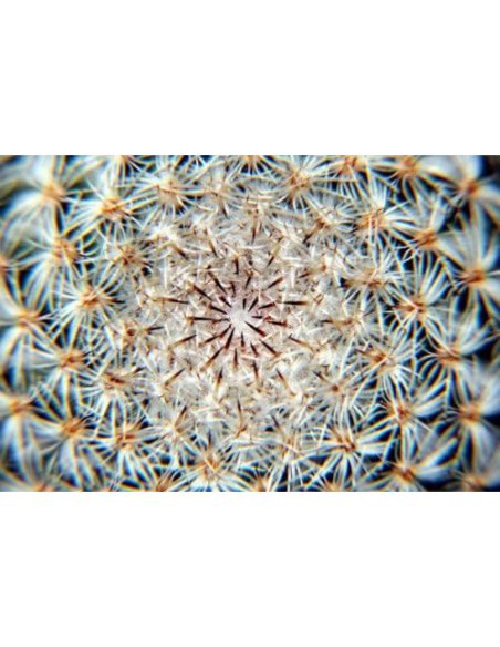 Filtro Macro Close Up +2 Vivitar para Canon 10-22mm