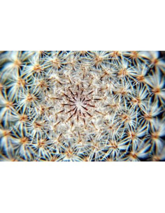 Filtro Macro Close Up 10x Vivitar para Nikon 55-200mm 2