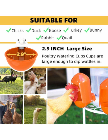 Tazas Automáticas para Beber Agua de Aves de Corral LEWINHOOK - Paquete de 5, 7.37 cm