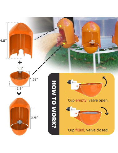 Tazas Automáticas para Beber Agua de Aves de Corral LEWINHOOK - Paquete de 5, 7.37 cm