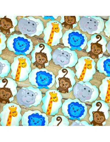 Cortadores de Galletas Kanehosi 10 Piezas Acero Inoxidable