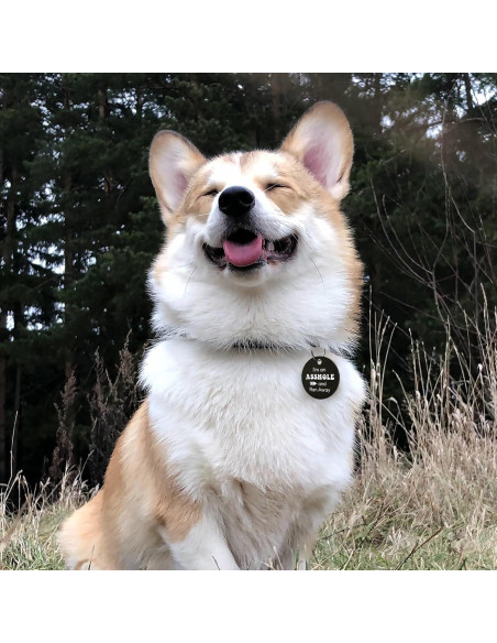 Etiqueta de Identificación de Perro MYLUCKYTAG Acero Inoxidable QR