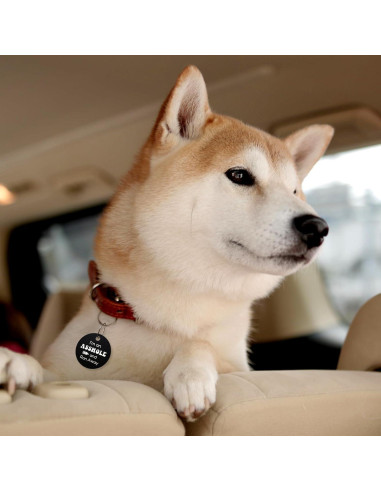 Etiqueta de Identificación de Perro MYLUCKYTAG Acero Inoxidable QR