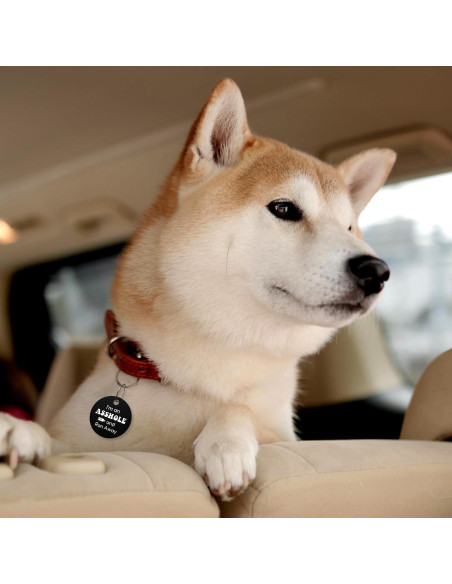 Etiqueta de Identificación de Perro MYLUCKYTAG Acero Inoxidable QR