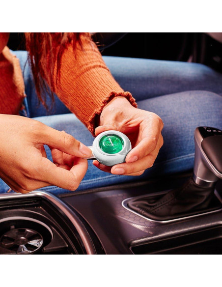 Ambientador y Purificador de Aire Armor All Menta Eucalipto 4 Piezas