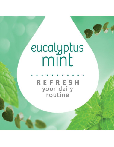 Ambientador y Purificador de Aire Armor All Menta Eucalipto 4 Piezas