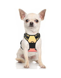 Arnés para Perros Rnivvi Pequeño Reflectante Ajustable 2