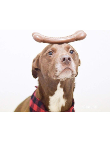 Hueso para Perros BarkBone Flavorit Mantequilla de Maní 14 cm