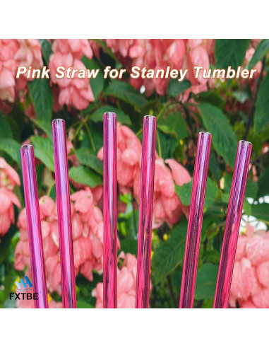 Paquete de 6 Popotes Reutilizables Rosa FXTBE para Taza Stanley 40 oz