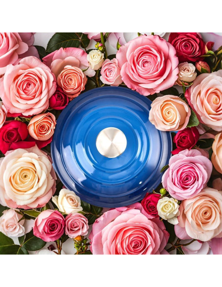 Olla de Hierro Fundido Enameleda Alathote 6L Azul Redonda