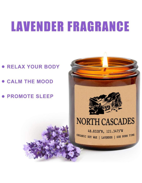 Vela Aromática de Soja Orgánica 8oz - Parque Nacional