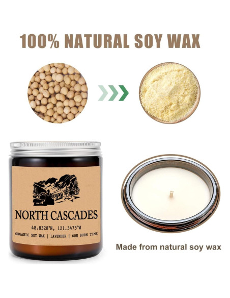 Vela Aromática de Soja Orgánica 8oz - Parque Nacional