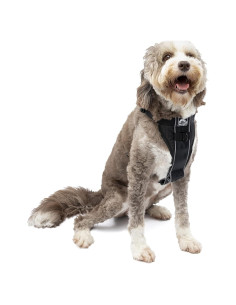 Arnés Inteligente Kurgo Tru-Fit Extra Grande Negro para Perros