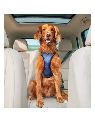 Arnés de Seguridad para Perros PetSafe Happy Ride Grande