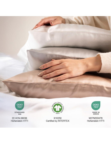 Funda de Almohada de Seda Orgánica 100% Morera Grado 6A 25 Momme