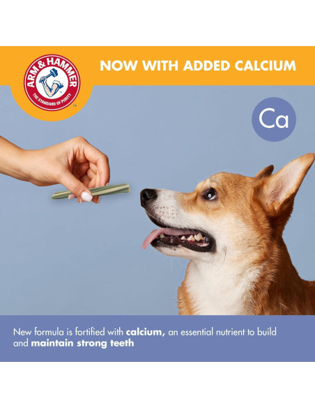 Golosinas Dentales Arm & Hammer para Perros Menta 198g