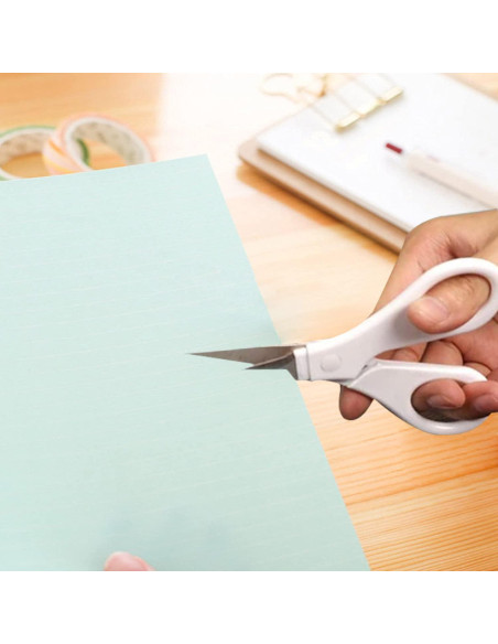 Juego de herramientas de deshierbe 6 piezas Reliabl para vinilo