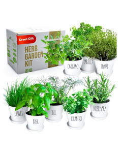 Kit de Jardín de Hierbas ZESTIGREENS - 8 Variedades Orgánicas