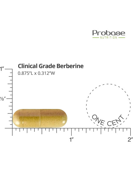 Suplemento de Berberina Probase Nutrition 1200mg - 120 Cápsulas Veganas