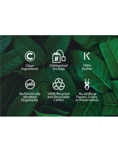 Té de raíz de astrágalo orgánico Buddha Teas | 18 bolsas