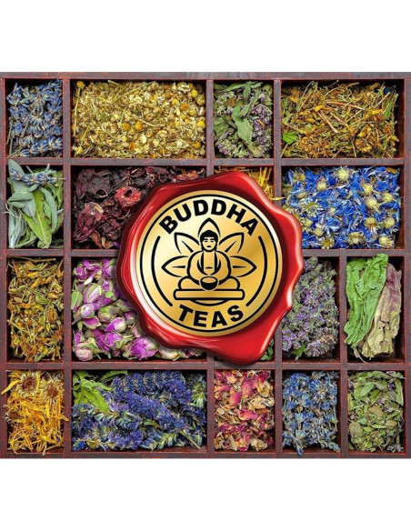 Té de raíz de astrágalo orgánico Buddha Teas | 18 bolsas