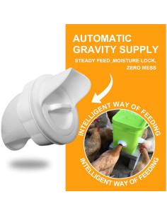 Kit de Comederos Automáticos para Gallinas TNDCKP 3 Puertos 2